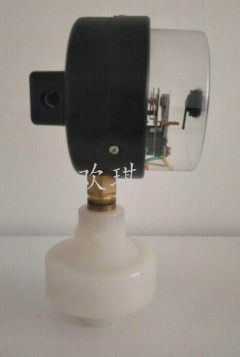 電接點(diǎn)隔膜壓力表